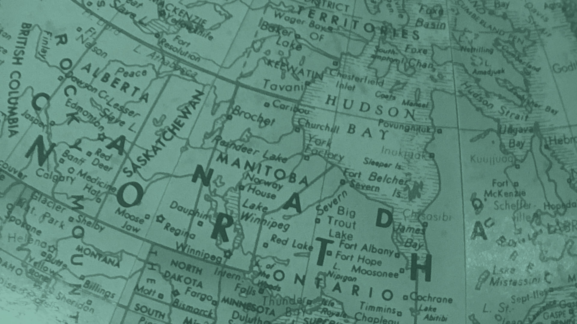 NORTH AMERICA